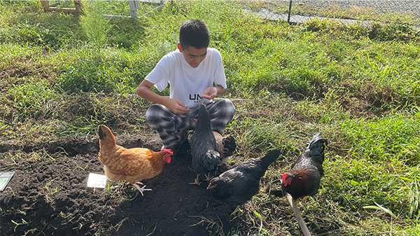 �k���@�D�l