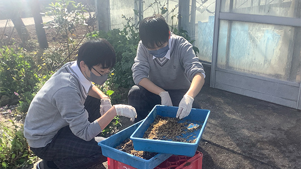 ���m��������_�э����w�Z�@�y�댤�����C��