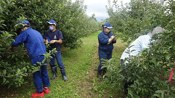 �k�C�����_�ƍ����w�Z�@�ʎ���U��