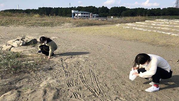 �C�m�v���X�`�b�N���{�@�������w�H�w�����V�X�e���w��