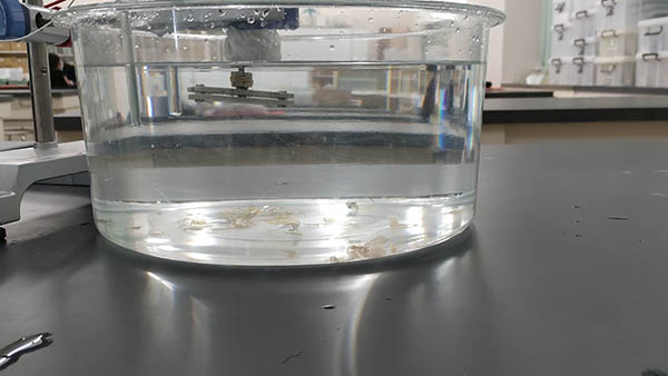 �ΐ쌧�������u�����w�Z