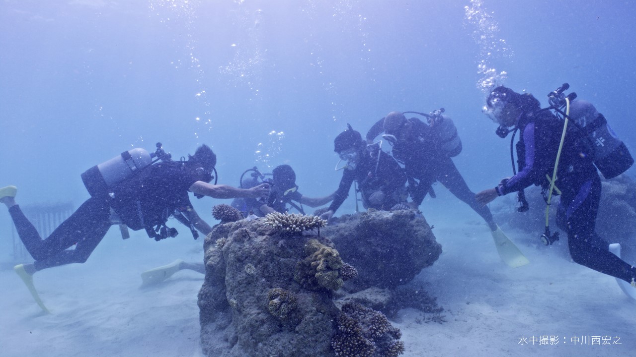 �ʐ�w���@�T���S������