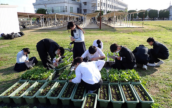 �L����������_�ƍ����w�Z�@���R�Ȋw��