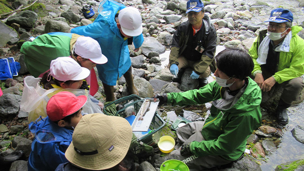 �j�b�R�E�C���i�Ɋw�ԉ�